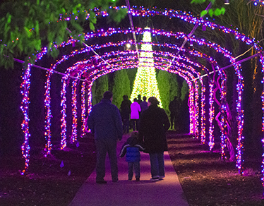 Holiday Lights at Cheekwood @ Cheekwood Gardens | Nashville | Tennessee | United States